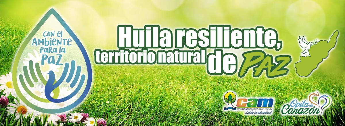Huila resiliente
