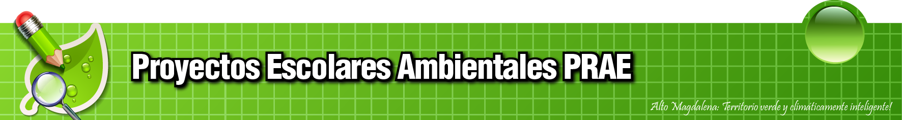 prae cabezote