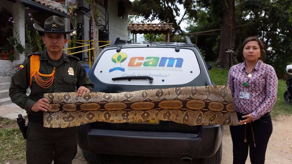 15-07-02 dts cam- trafico de partes de fauna 01