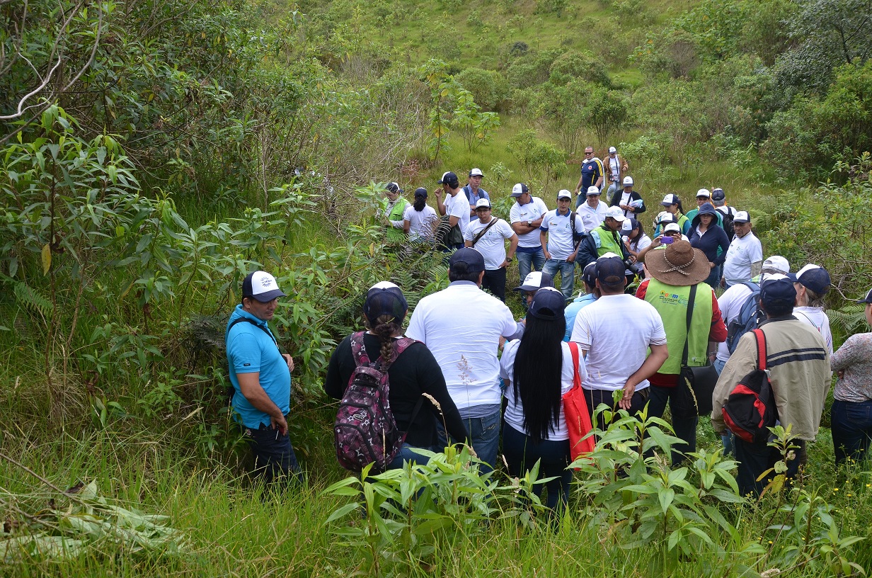 ceibascomuna6