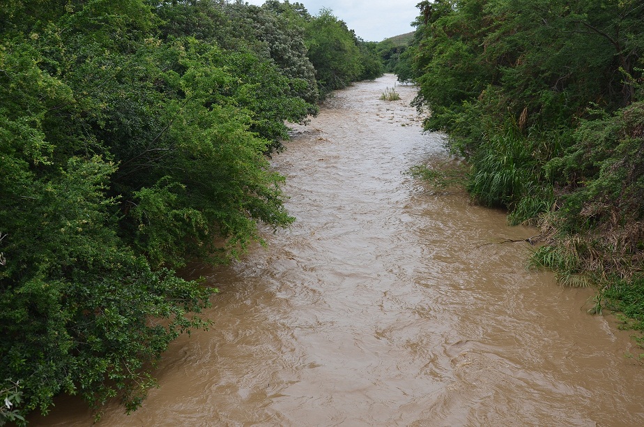 ceibaspuenteelbatallon