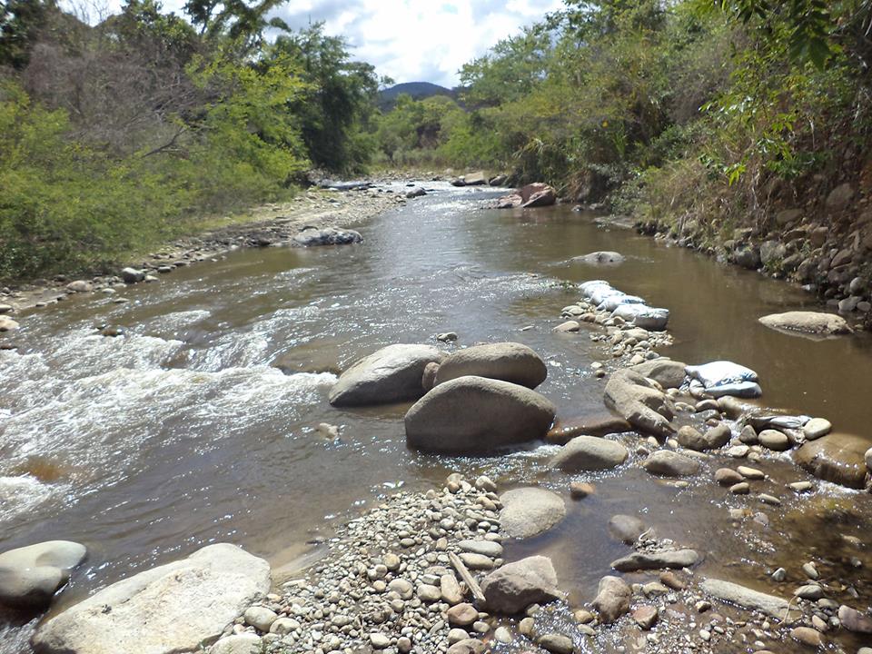 ceibasres