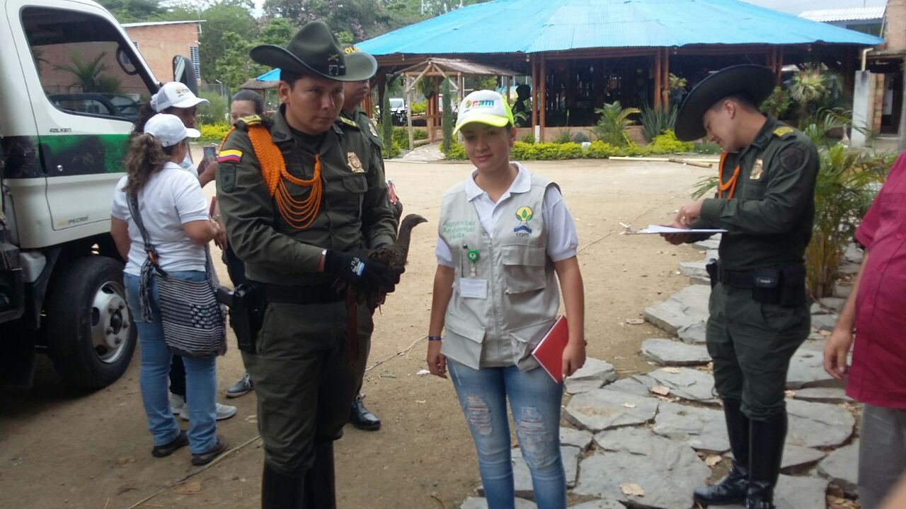 controles