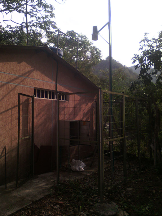 hurto3