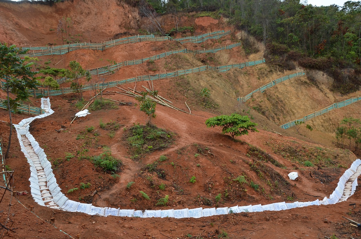 obra ceibas