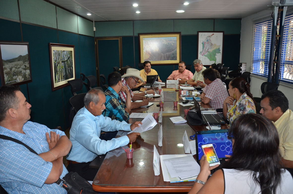 16 07 15 ceibas conceo cuenca 01