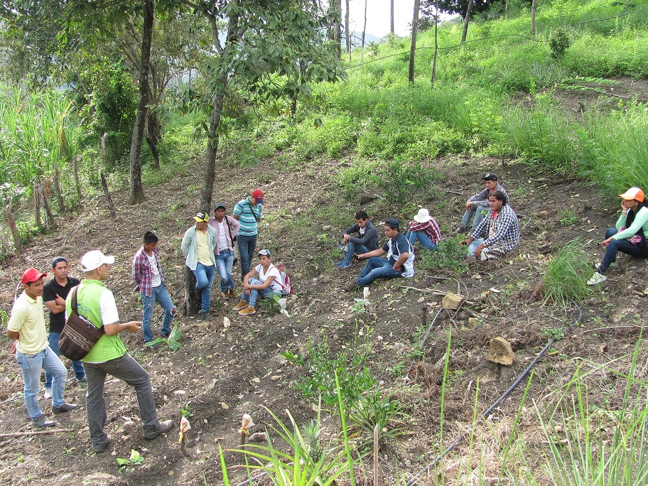 recorridoceibas