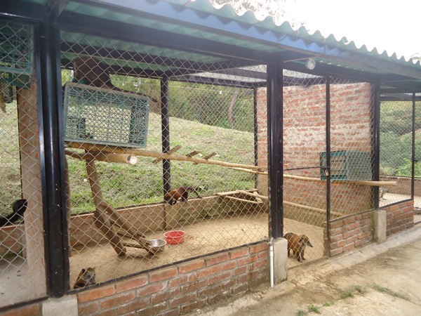 area de mantenimiento