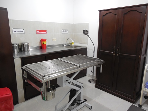 cav clinica