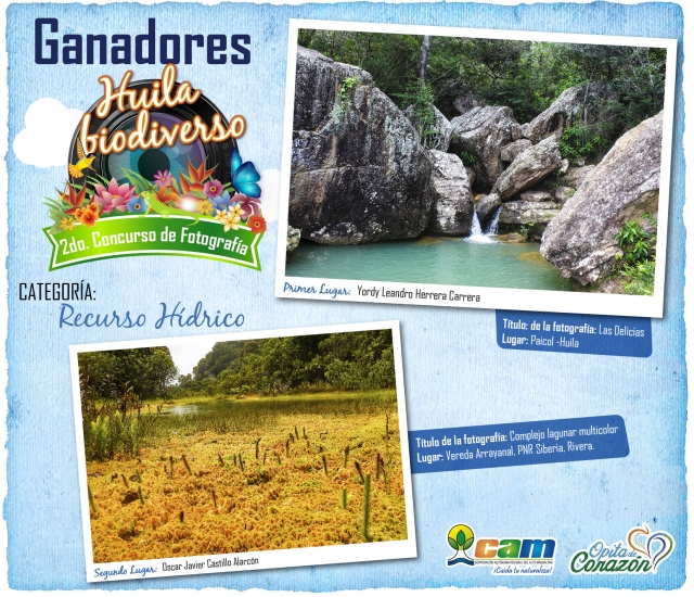GANADORES CONCURSO DE FOTOGRAFIA 2019 01